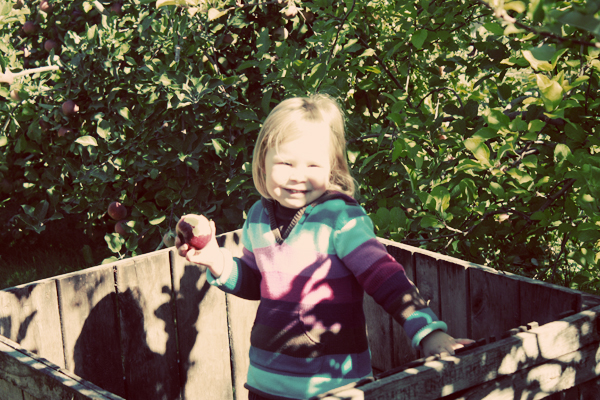 kate apple picking